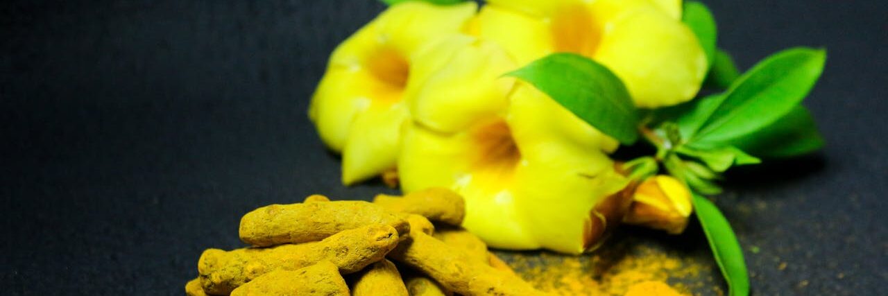 Vivid close-up of turmeric roots and powder with yellow flowers on dark background.