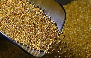 Gold (Swarna Yukt)/Premium Preparations (Copy)